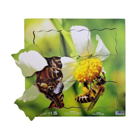 Cyklus - vývoj života včely (puzzle 19 dílů)